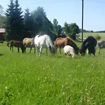Landgasthof Zum Schwanen 3*