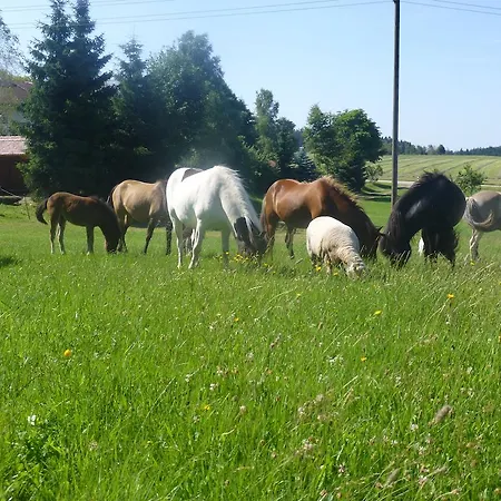 Landgasthof Zum Schwanen 3*