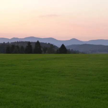 Hotel Landgasthof Zum Schwanen 3*