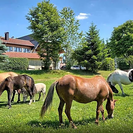 Landgasthof Zum Schwanen Szálloda 3*