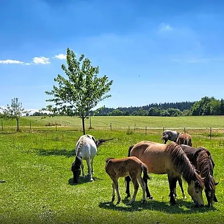 Szálloda Landgasthof Zum Schwanen