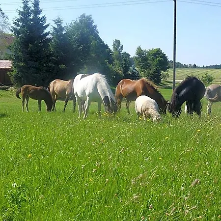 Landgasthof Zum Schwanen Hornberg