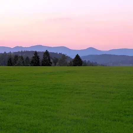 Landgasthof Zum Schwanen Hornberg
