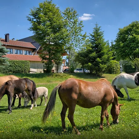Hotel Landgasthof Zum Schwanen 3*