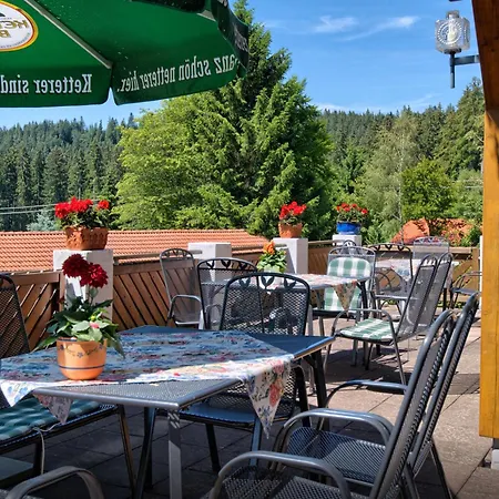 Landgasthof Zum Schwanen Hotel Hornberg