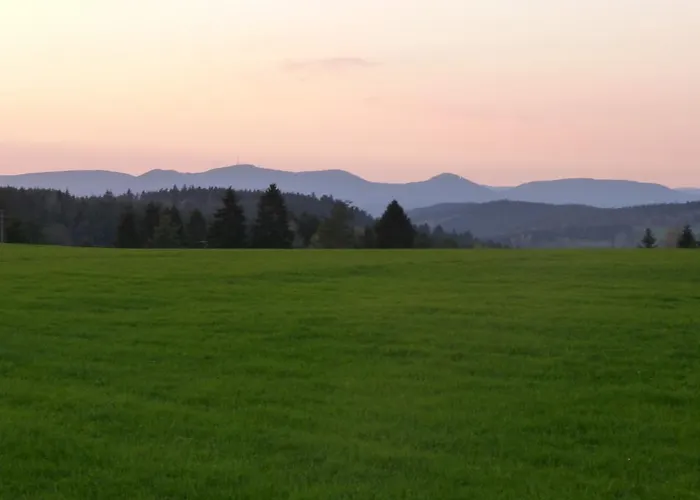 Hotell Landgasthof Zum Schwanen 3*