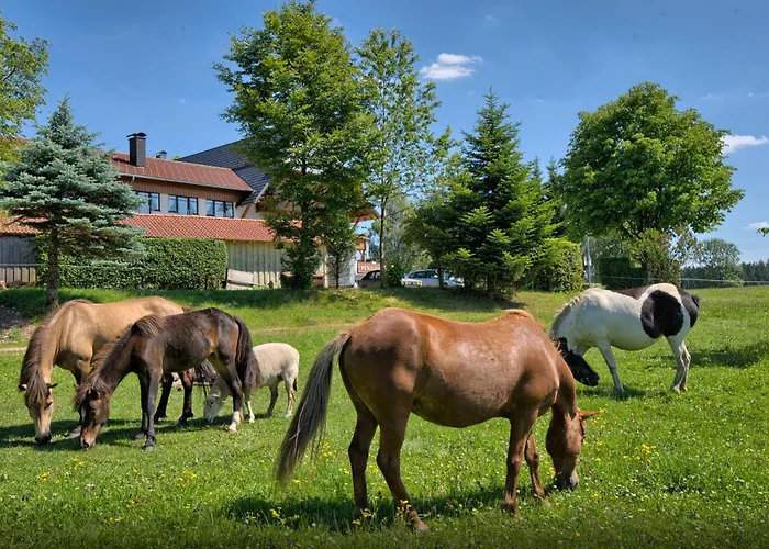 Hotell Landgasthof Zum Schwanen 3*