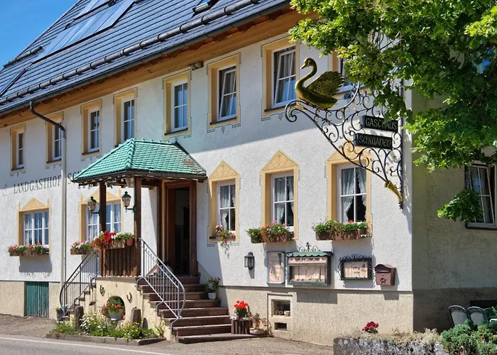 Hotell Landgasthof Zum Schwanen 3*